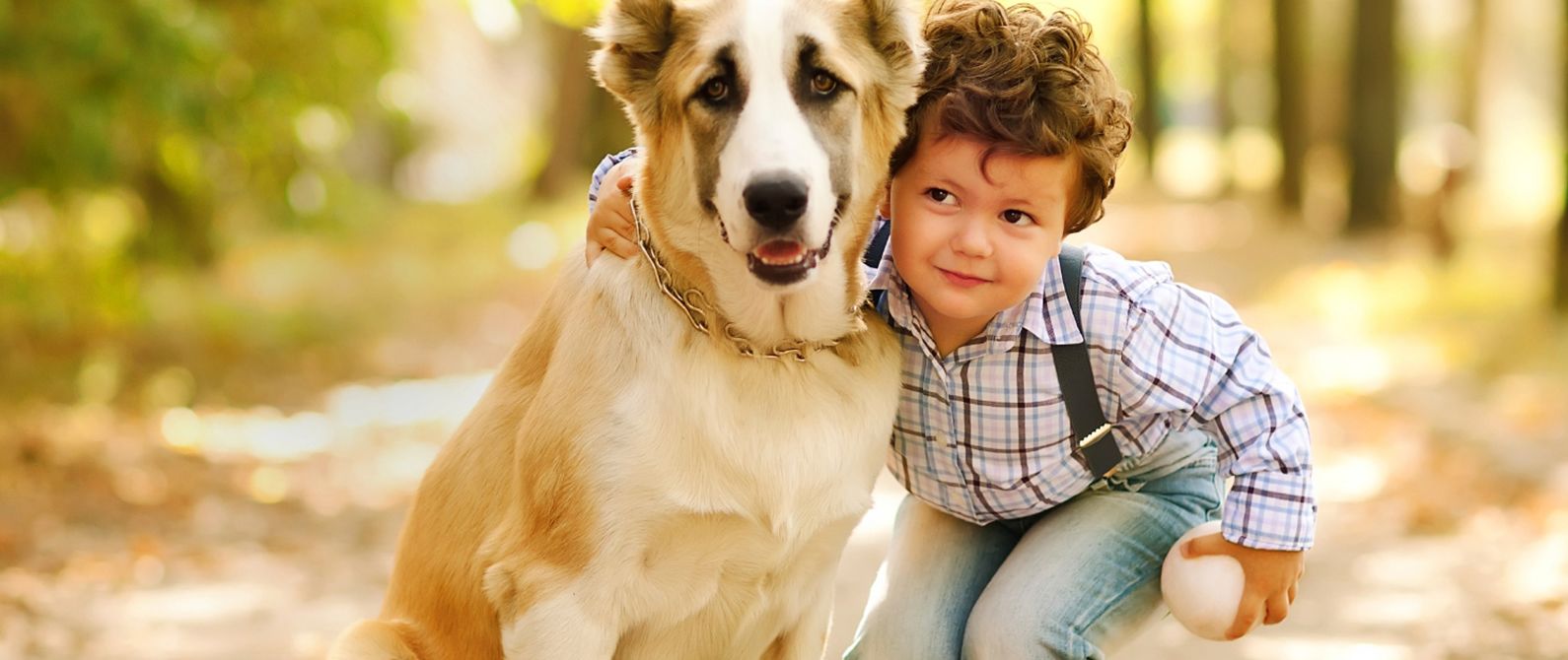 Hopewell Animal Hospital | Cincinnati Animal Hospital & Vet Hopewell Animal Hospital | Cincinnati Animal Hospital & Vet