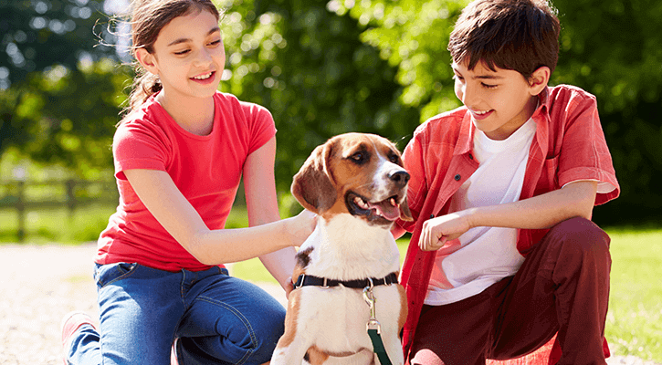 Pet Microchipping Cincinnati Dog With Kids