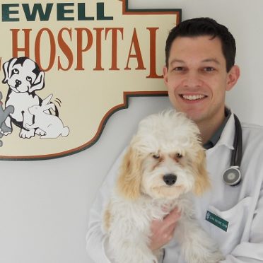 dr_baum dr_baum